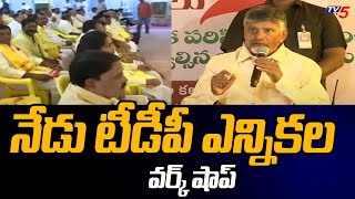 Vijayawada  నేడు టీడీపీ ఎన్నికల వర్క్ షాప్  AP Elections 2024  TDP Workshop  Chandrababu  Tv5 [upl. by Micheil764]