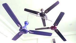 Ceiling fan comparison USHA fan vs Candes or Crompton fan There are 3 fan together‼️ [upl. by Goodkin]