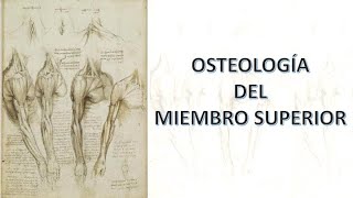 Osteología del miembro superior [upl. by Birck769]