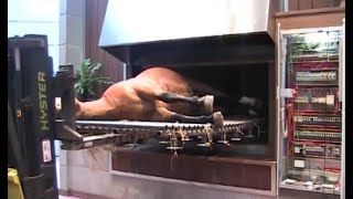 Horse Cremation processes  Animal crematorium [upl. by Mecke]