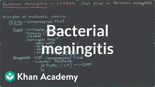 Bacterial meningitis  Miscellaneous  Heatlh amp Medicine  Khan Academy [upl. by Bekha984]