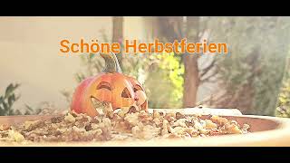 Schöne Herbstferien [upl. by Oleg]