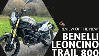 Benelli Leoncino Trail 800  The scrambler Gambler [upl. by Filomena]