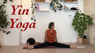 Yin yoga 40 min NederlandsDutch [upl. by Adirehs196]