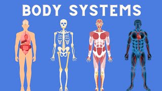 11 Body Systems in 3 minutes [upl. by Pascal766]