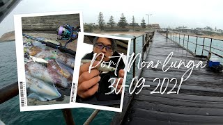 Squid Fishing Adelaide  Port Noarlunga  South Australia  30092021 [upl. by Haleeuqa583]