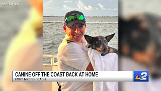 Dog returns home after boat captain rescues her off Fort Myers Beach coast [upl. by Jeni]