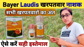 खरपतवार का 100 नियंत्रण  laudis herbicide  bayer laudis  best corn herbicide spray  laudis [upl. by Ecirtemed]