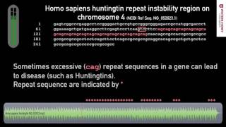 What does DNA sound like 04 Repetitive CAG in Gene [upl. by Yendic]