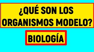 ORGANISMOS MODELO ¿Qué son Fácil y Rápido [upl. by Milly]