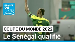 Le Sénégal qualifié pour la Coupe du monde 2022 au Qatar • FRANCE 24 [upl. by Stubstad]