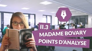 Lecture commentée de Madame Bovary Partie II Chapitre 3 Points d’analyse  Littérature [upl. by Anavlis]