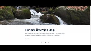 Hur mår Östersjön idag [upl. by Eicak]