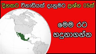 🟢 General Knowledge Sinhala 🌼 සාමාන්‍ය දැනිම සිංහල  IQ Test Sinhala  Samanya Denima Sinhala [upl. by Seale]