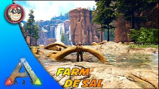 🔵 ARK SURVIVAL EVOLVED  RAGNAROK ONDE ENCONTRAR SAL PARA CONSERVAPTBR [upl. by Oirasan854]