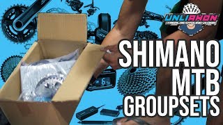 Shimano MTB Groupsets Price amp Hierarchy [upl. by Danette591]