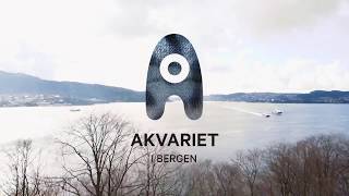 Akvariet i Bergen [upl. by Uzia]