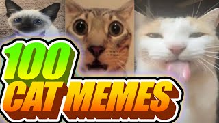 I Voiceovered 100 Cat Memes [upl. by Ondine]