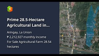 Prime 285Hectare Agricultural Land in Aringay La Union [upl. by Yelrac673]