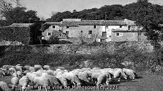 HISTOIRE DE LA VILLE DE MANOSQUE [upl. by Weslee433]