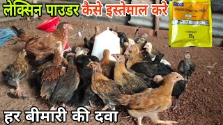 lixen powder kaise use karea  lixen powder uses in poultry [upl. by Boote979]