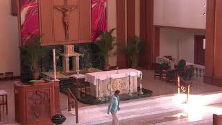 St Petronille LiveStream  8AM Mass Saturday May 18 2024 [upl. by Ducan]