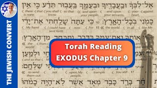 Exodus Chapter 9  Torah Reading in Hebrew with English Translation  TORAH STUDY [upl. by Sessylu779]