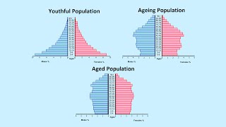 How to Read a Population Pyramid [upl. by Ivey]