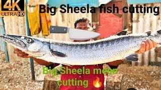 big sheela fish cutting🔪 byjus Sheela fish cutting😱👍 Sheela meen cutting 🔥sheela fish cutting tamil [upl. by Eendyc227]