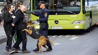 Police against anarchists in Oslo Norway [upl. by Niwri]