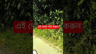 দোয়া ১৬ religion​ attitude​ motivationalquotes motivation​ inspiredaily​ status motivational​ [upl. by Garihc]