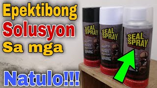 Seal Spray PH  Seal Spray Product Review and Testing  Mabisang Pantapal chitman [upl. by Steward491]