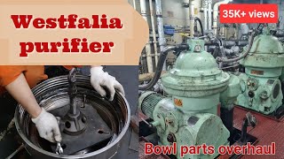 GEA Westfalia Separator Bowl parts overhaul marineengineer merchantnavy westfalia purifier [upl. by Okwu]