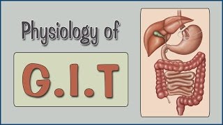 Easy Physiology  GIT  2Salivary Secretion amp Swallowing Mechanism [upl. by Louella476]