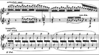 BachBusoni  Chaconne in D minor [upl. by Javler338]