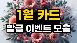 24년 1월 카드 발급 이벤트 총정리  가장 많이 절약할 수 있는 방법 [upl. by Lerraf]