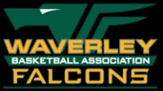 Waverley Basketball BigV VYC Men Live Stream [upl. by Boyse419]