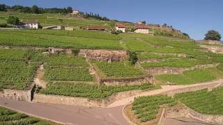 Flying over the Lavaux with a drone Switzerland [upl. by Assetniuq]