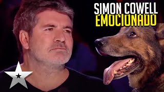 Perro mago hace LLORAR a Simon Cowell  Got Talent Español [upl. by Zerla502]