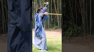 Samurai Nito Ryu Niten Ichi Ryu samurai martialarts japanesemartialarts shorts shortvideo [upl. by Booker]