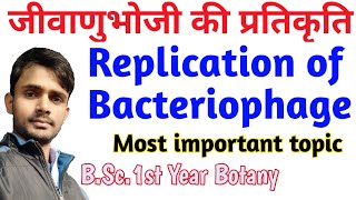 Replication of Bacteriophage BSc1st Year BotanybyPrahalad Sir [upl. by Arabrab]