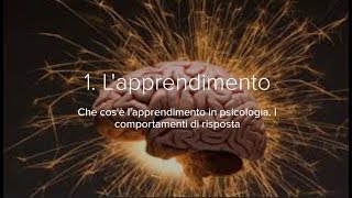 1 Lapprendimento e i comportamenti di risposta [upl. by Anoyk]