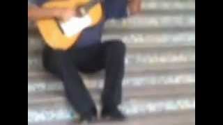 20120815 Sevilla Plaza de Espana Guitarista x264 [upl. by Nyledaj]