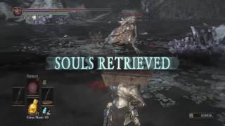 Champion soul farming DS3 [upl. by Nodab]