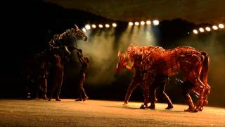 War Horse The Works  RTÉ ONE [upl. by Amorete]