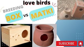 love bird breeding box ya matki  Love bird breed k lye box ya matki [upl. by Blackington25]