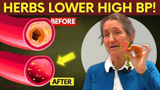 3 Miracle Herbs to Instantly Lower Blood Pressure amp Clear Arteries – Barbara ONeills Secrets [upl. by Eras598]