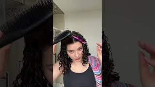 DENMAN BRUSH VS TANGLE TEEZER does your hair brush matter [upl. by Arabelle642]