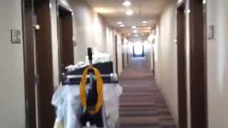 Full Hotel Tour BRAND NEW Hampton Inn amp Suites on Highway 6 in Missouri City TX [upl. by Aibos]