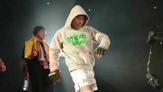 五味孝典 Takanori Gomi entrance RIZIN MMA 2017 [upl. by Tailor]